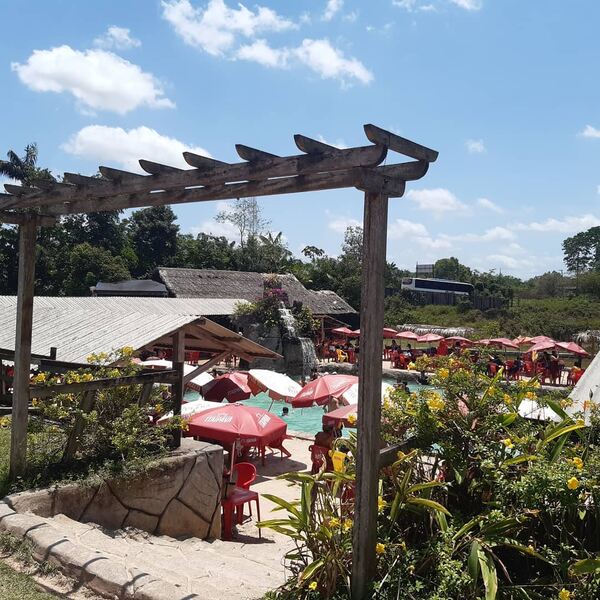 Natureza e gastronomia em harmonia no Floresta park